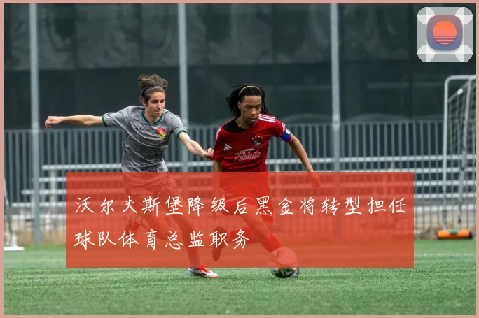 沃尔夫斯堡降级后黑金将转型担任球队体育总监职务